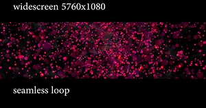 Rose Petals Widescreen