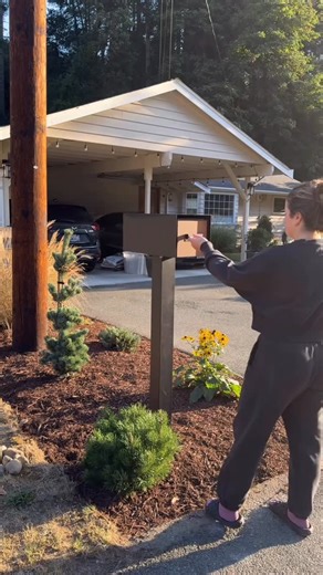 Sally - DIY | Home Design | Gardening | Who knew a mailbox could make such a difference 🙂‍↕️ One of my favorite transformations so far! Comment ‘mailbox’ if you want the link to... | Instagram