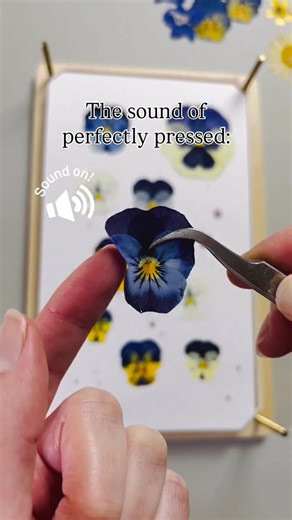 1.3K views · 58 reactions | Perfectly pressed sounds like crisp paper...