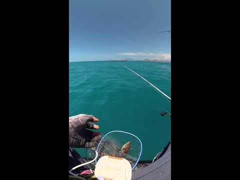 🔮Saltwater fishing, river catching & more2026-05-11