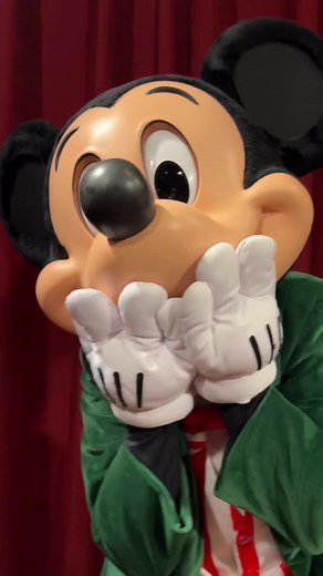 Tickets para Mickey’s Very Merry Christmas Party en Disney