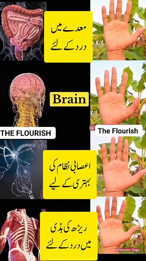 985K views · 6.4K reactions | #fitnessmotivation | The Flourish | Facebook