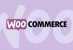Free Course: A Beginner’s Guide to Using WooCommerce | Envato Tuts