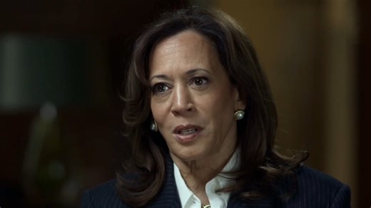 4.8K views · 107 reactions | IPA Deputy Executive Director Daniel Wild criticises former US Vice President Kamala Harris’s interview with ABC's Sarah Ferguson. | Sky News Australia | Facebook