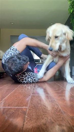 Hudson escapes the triangle choke! #dogjitsu #jiujitsuparatodos #bjjlifestyle #training #bjjlife #gym #bjj #boxing #selfdefense #grappling #blackbelt #oss #jiujitsulifestyle #ibjjf #jiujitsu #muaythai #martialarts #reels #ufc #hudsonlovesbjj #fitness #bjjgirls #wrestling #brazilianjiujitsu | Adam and Hudson | Facebook