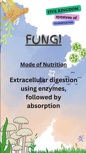 Kingdom Fungi 🧫🍄 | Key Features, Types & Examples | Biology for Beginners