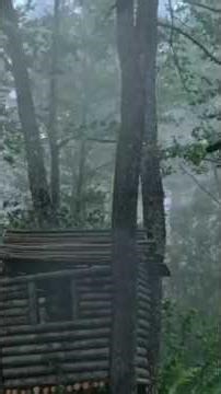 Building a Log Treehouse & Living Through a Storm | ASMR Bushcraft