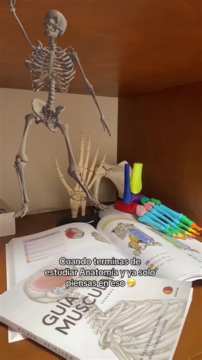 Etiqueta a quien sueña con esqueletos 😂 🦴 #estudiantedemedicina #estudiantedefisioterapia #anatomiahumana