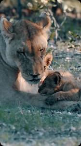 Shower time. | Juan Álvarez