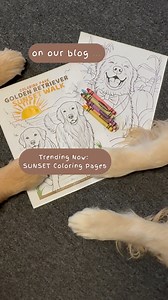 LOVE coloring and golden retrievers. Our sunset coloring page is a hit! Full collection on our blog - https://www.sugarthegoldenretriever.com/golden-retriever-coloring-page/ | Golden Woofs