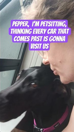 im pet sitting PEPPER! #maths #tutorial #exam #mathematics #math #mathstricks #number #numbers