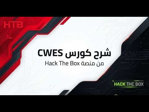 بدايتك الاساسية في database | SQL Injection Fundamentals from CWES