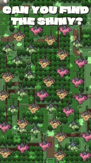 Can you find the shiny? #pokemon #pokemonshiny #challenge