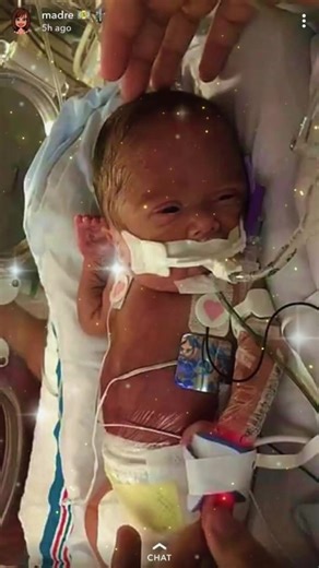 Mary Belk (@mary.belk7)’s videos with You Are My Sunshine (with Chris Stapleton) - Morgane Stapleton