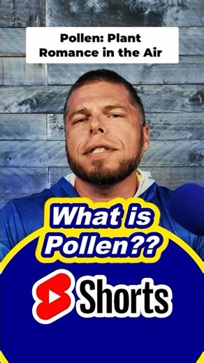 What Is Pollen? (And Why It’s Wrecking Your Pool!) 🌼💦 #pollen #pollenseason