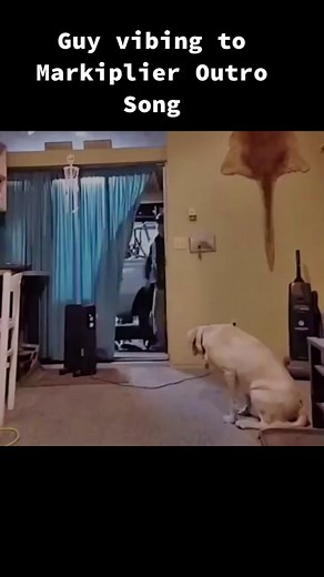 Guy Vibing to Markiplier Outro Song