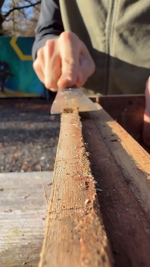 12K views · 196 reactions | Scraping Brood Box With Hive Tool #cleaning #asmr #scrape | Black Mountain Honey | Facebook