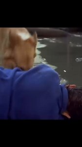 11K views · 442 reactions | Can we really teach dogs to do CPR | VILLA VECCHIA 1865 | Facebook