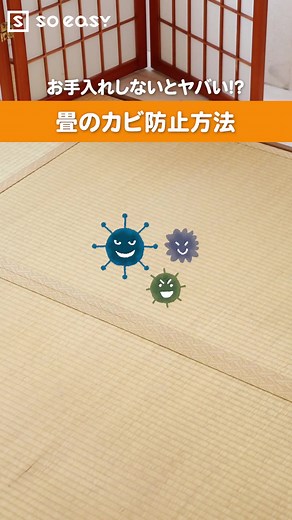 【掃除】お手入れしないとヤバい！？ 畳のカビ防止方法#掃除#畳#梅雨#カビ予防#カビ#裏技#豆知識 #生活の知恵 #主婦の知恵 #TikTok教室 #おバズり申し上げます #日常あるある #日常vlog #ライフハック #台風 #簡単
