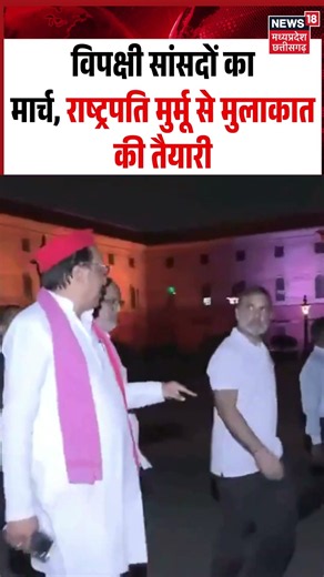 Rahul Gandhi Protest Viral Video: विपक्षी सांसदों का मार्च, राष्ट्रपति मुर्मू से मुलाकात की तैयारी