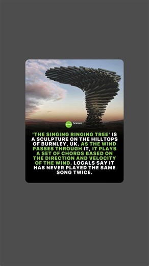 "The Singing Ringing Tree - AmazingWind-Powered Musical Sculpture in Burnley, UK"