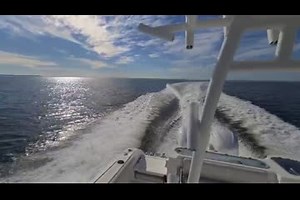 2021-sea-fox-328-commander-9841928