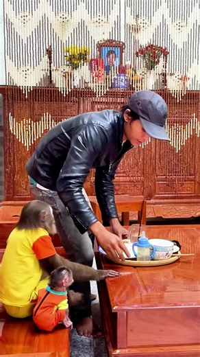 CUTIS Chooses TV Over the Market with Dad _ Buem— And the Ending#familybibi #monkeylove #monkeybaby #cutebaby