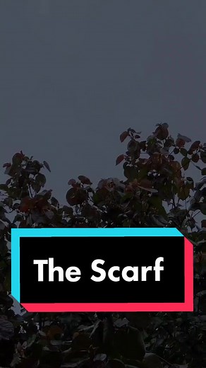 The Scarf 🥶🤨 www.yehudadevir.com #judedevir #mayadevir #oneofthosedays
