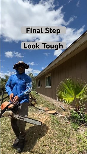 Technical Palm tree Removal Step by Step Instructional Video for Beginners #treeremoval #chainsawman