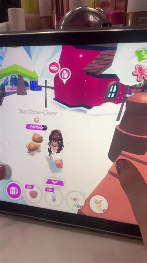 Chasing Dragon Pets in Adopt Me Gameplay Series