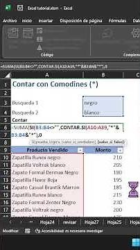 Cuenta textos en Excel con comodines (*) como un PRO