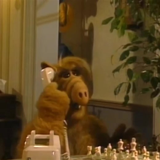 Kolko zdvihaš?🤣 #alf#meme#sk#cz#fyp