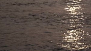 1.9K views · 67 reactions | THE TEMPEST KICKS OFF...