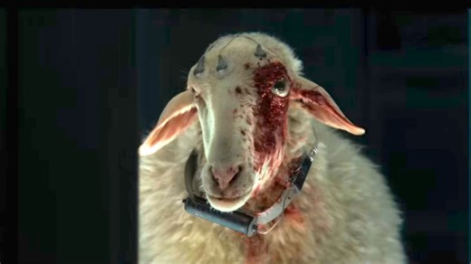 This Judgy Sheep Is the True Star of the ALIEN: EARTH Trailer