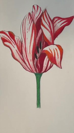 Mark Liam Smith on TikTok