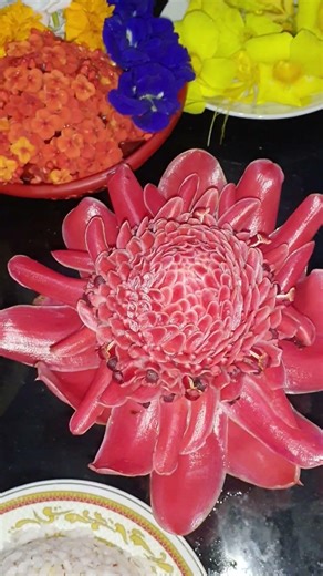 What is this flower? #everyone #viral #seeall