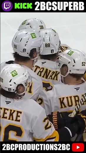 Geekie Center Ice Goal #nhl