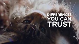 87K views · 65 reactions | We believe pets have the power to transform our lives and that nutrition has the power to transform theirs. | Hill’s Pet Nutrition | Facebook