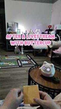 Buttercup - After A Livestream