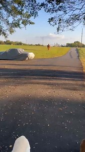 137 reactions · 9 comments | God love a hilarious adoption update ...