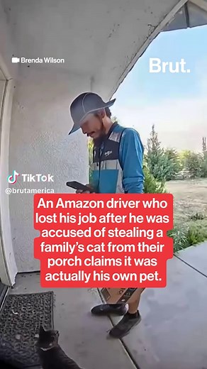 An Amazon delivery driver who went viral for allegedly stealing a cat from a family's front porch now claims that he believes the cat is his own. #Amazon #Delivery #Cat #Catnapping