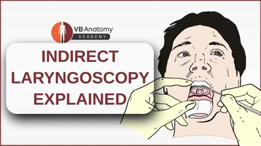 Indirect Laryngoscopy Explained | Indirect vs Direct Laryngoscopy | Dr Vaishaly Bharambe