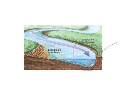 River meanders, pools and riffles