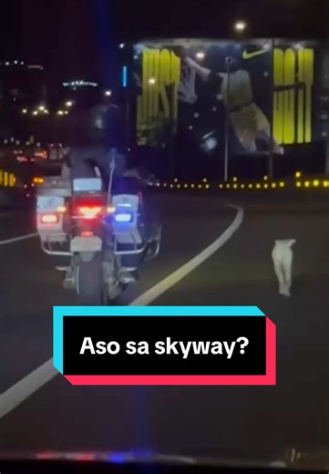 Aso sa Skyway: Tulong ng Makati City Police