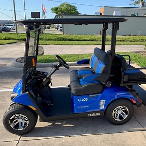 TALOS Lightning Detector for Golf Carts and Courses - TALOS