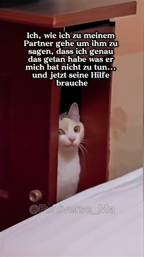 #deutschland #lachen #lustig #witzig #ironie #spaß #funny #comedy #flachwitz #memes