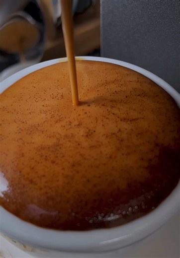 The Art of Making Espresso: A Guide