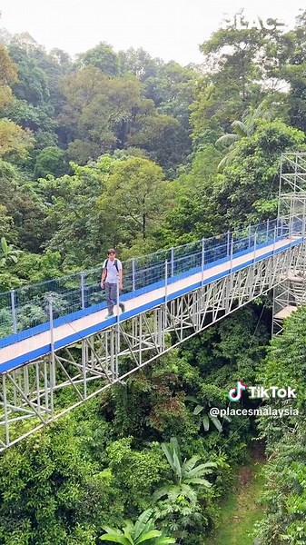 Exciting Forest Skywalk Experience at Taman Botani FRIM