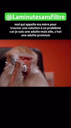 Qui est un ADULTE PREMIUM ? #reels #reel #humour #like #abonnetoi #memes #mdr #fun #hilarant #follow