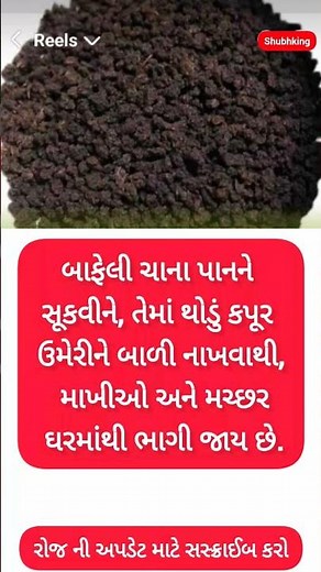 ધન્ય છે આવી જનેતાઓને 🥰 #motivation #shorts